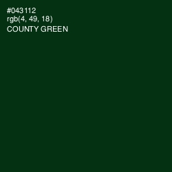#043112 - County Green Color Image